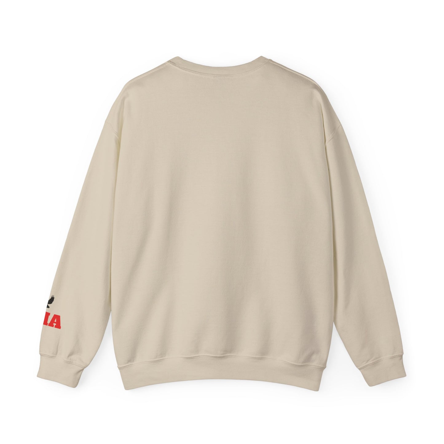 Adult Hawks Crewneck