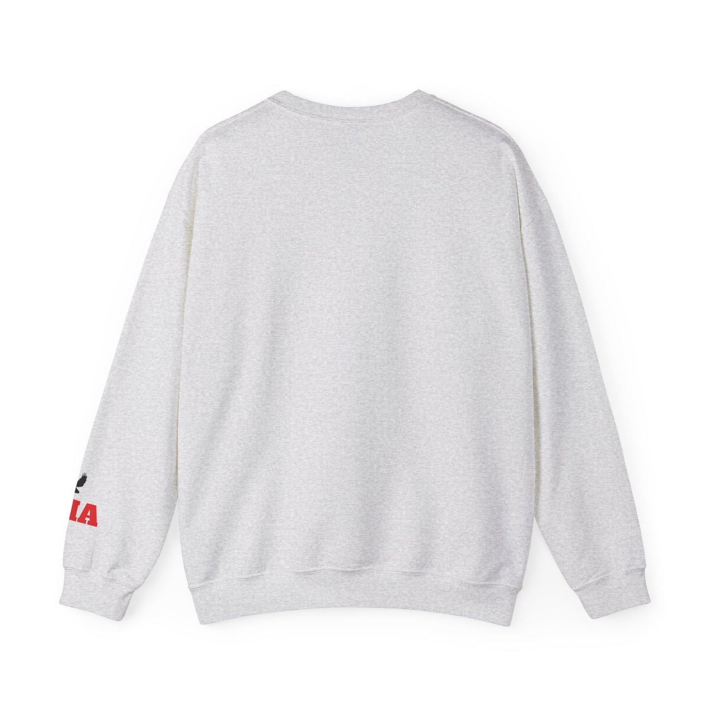 Adult Hawks Crewneck