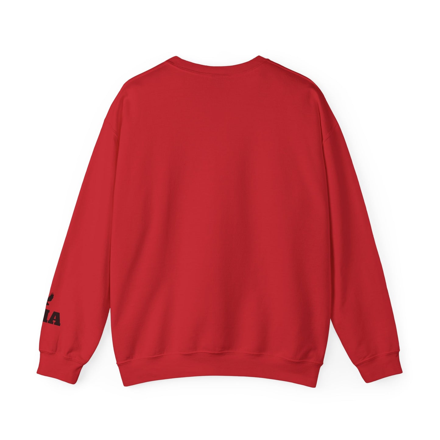 Adult Hawks Crewneck