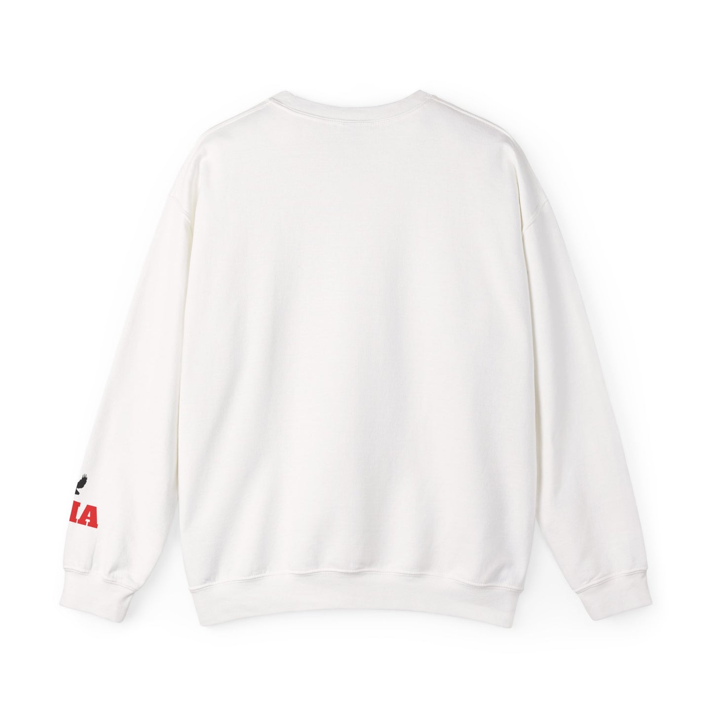 Adult Hawks Crewneck